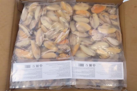 оптом мясо синих мидий