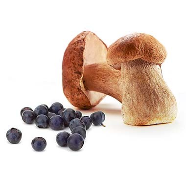 Ягоды, грибы